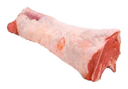 ظهر