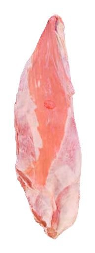 بطن