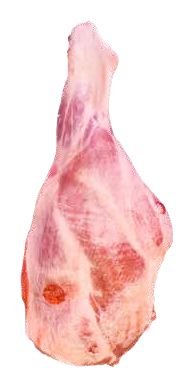 فخذ