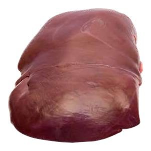 كبدة