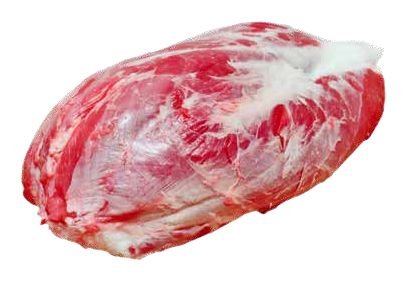 عضلة