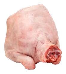 الربع الأمامي
